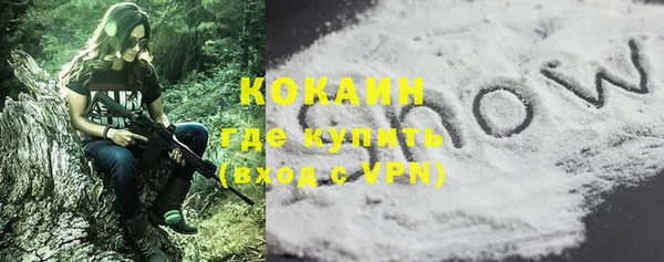 твердый Абаза