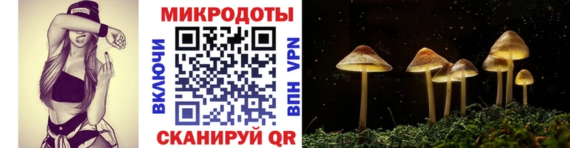 Псилоцибиновые грибы MAGIC MUSHROOMS  KRAKEN ONION  Сольцы 